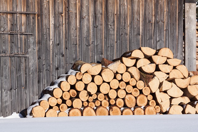 quel bois de chauffage utiliser