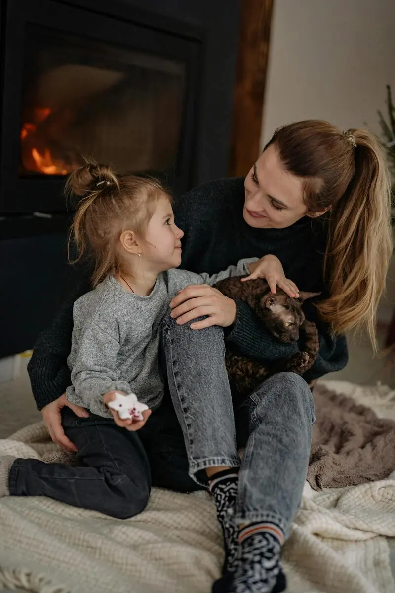 poseur-de-cheminees-challans